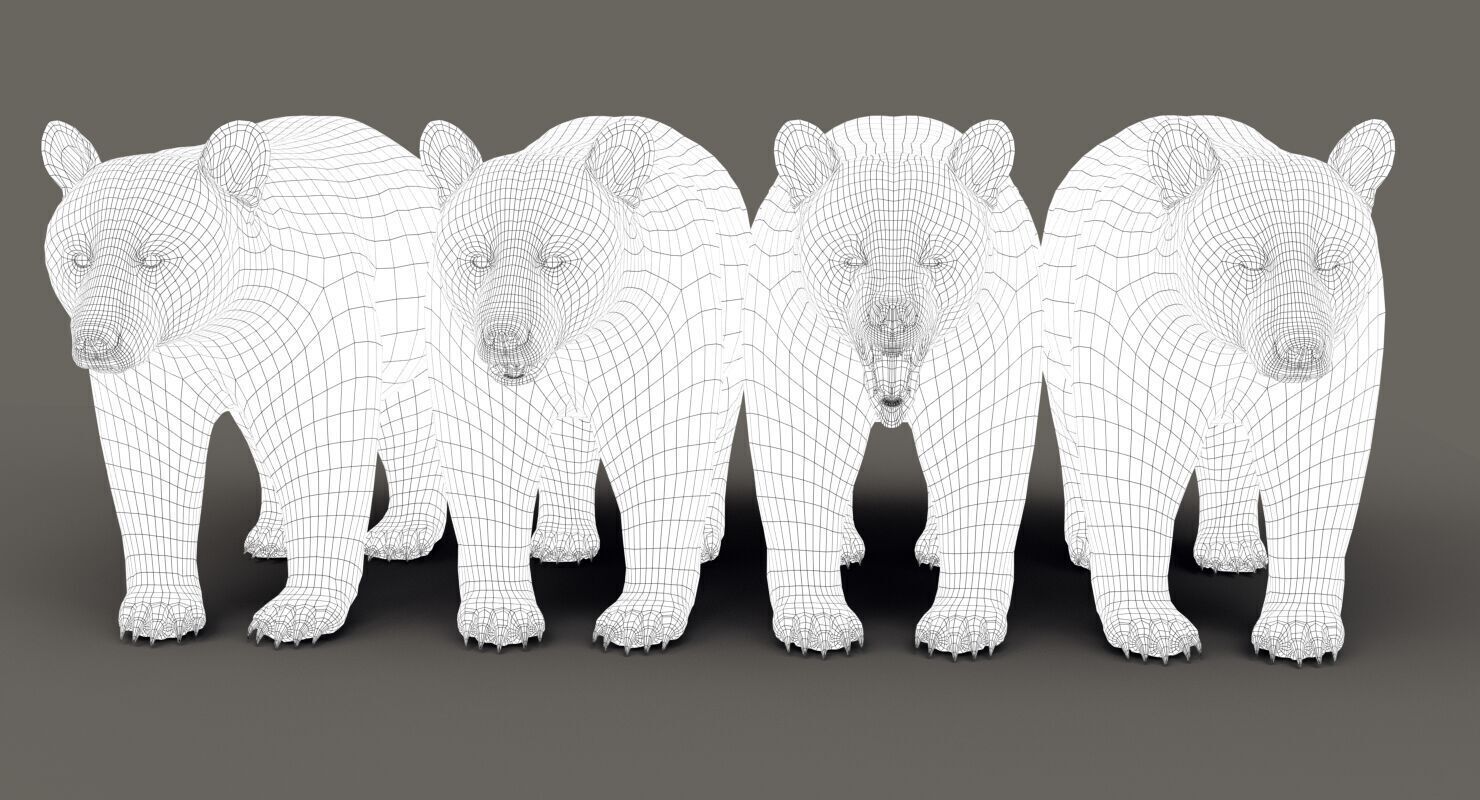 Black Bear ANIMATED Xgen core 3D model_7