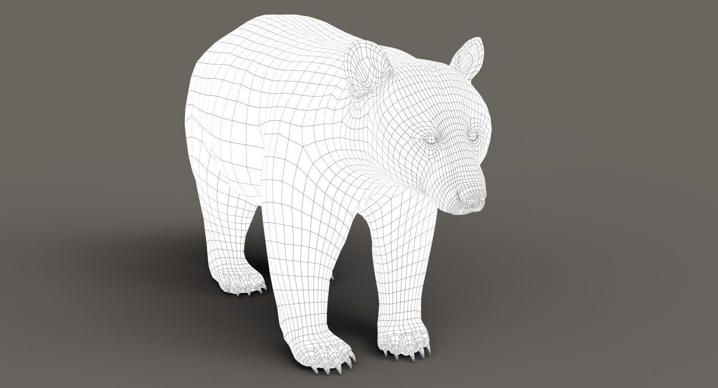 Black Bear ANIMATED Xgen core 3D model_11