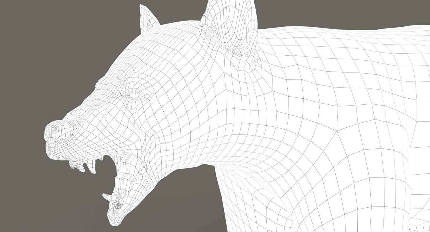 Black Bear ANIMATED Xgen core 3D model_12