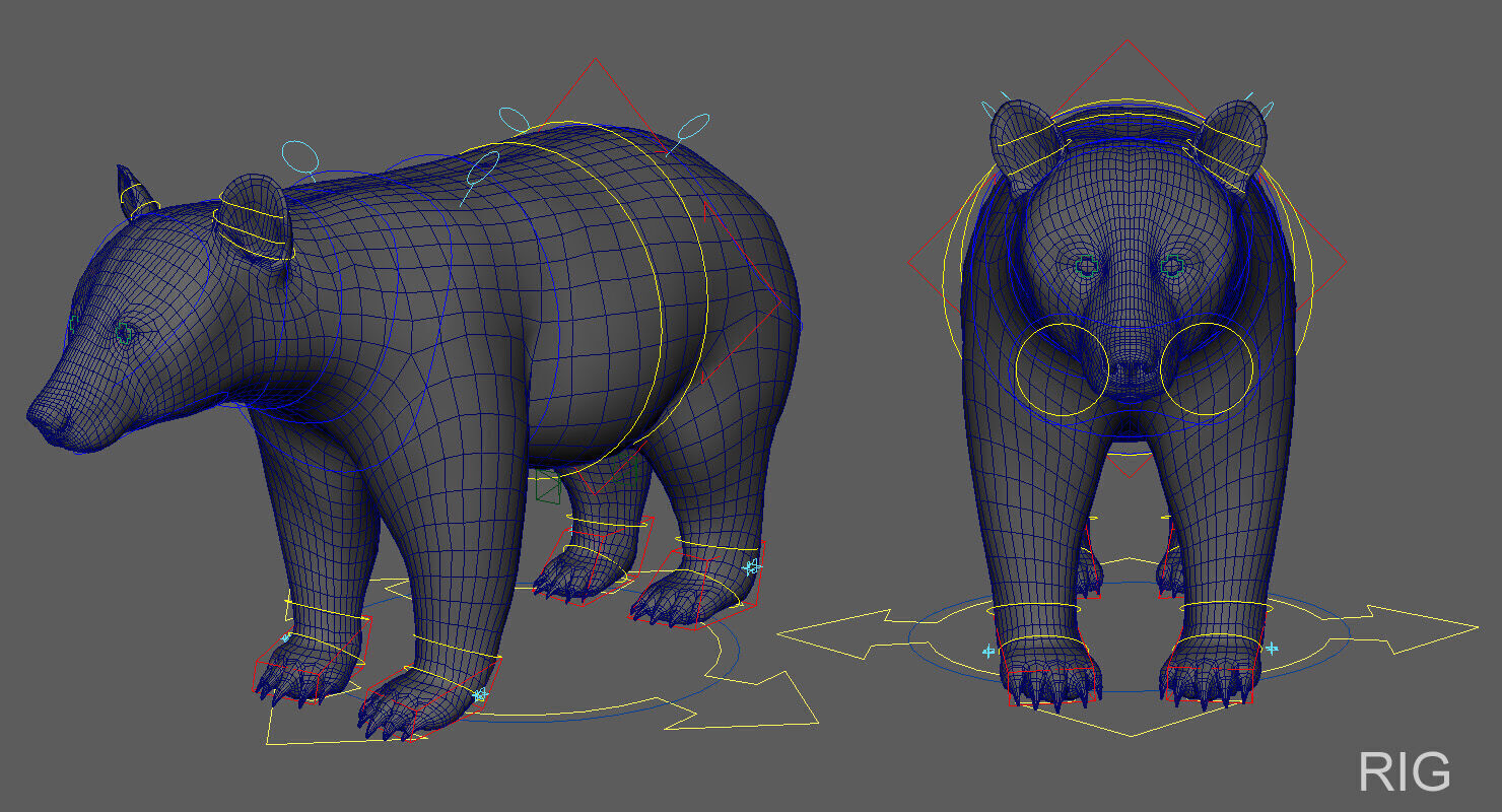 Black Bear ANIMATED Xgen core 3D model_18