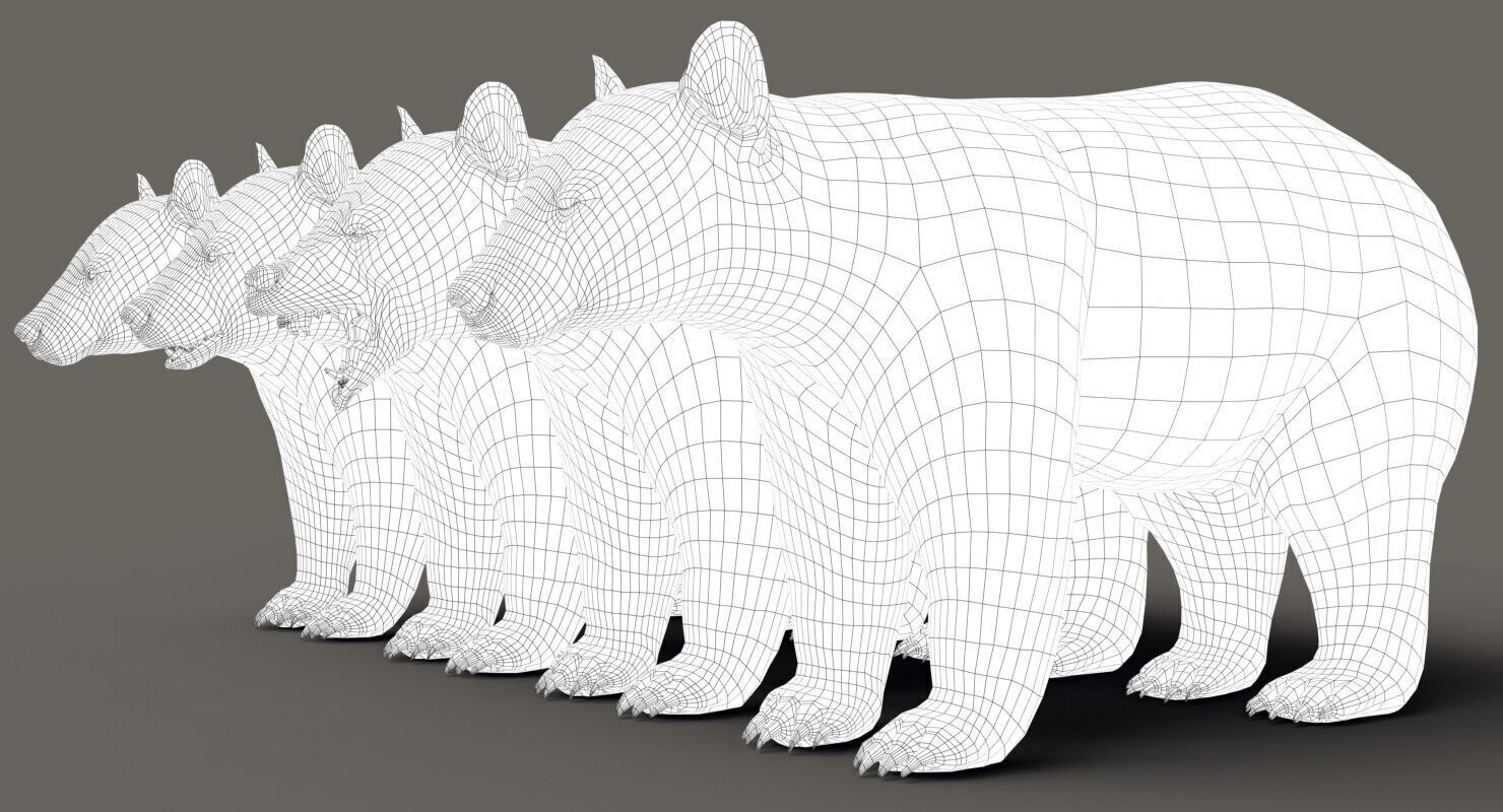 Black Bear ANIMATED Xgen core 3D model_8