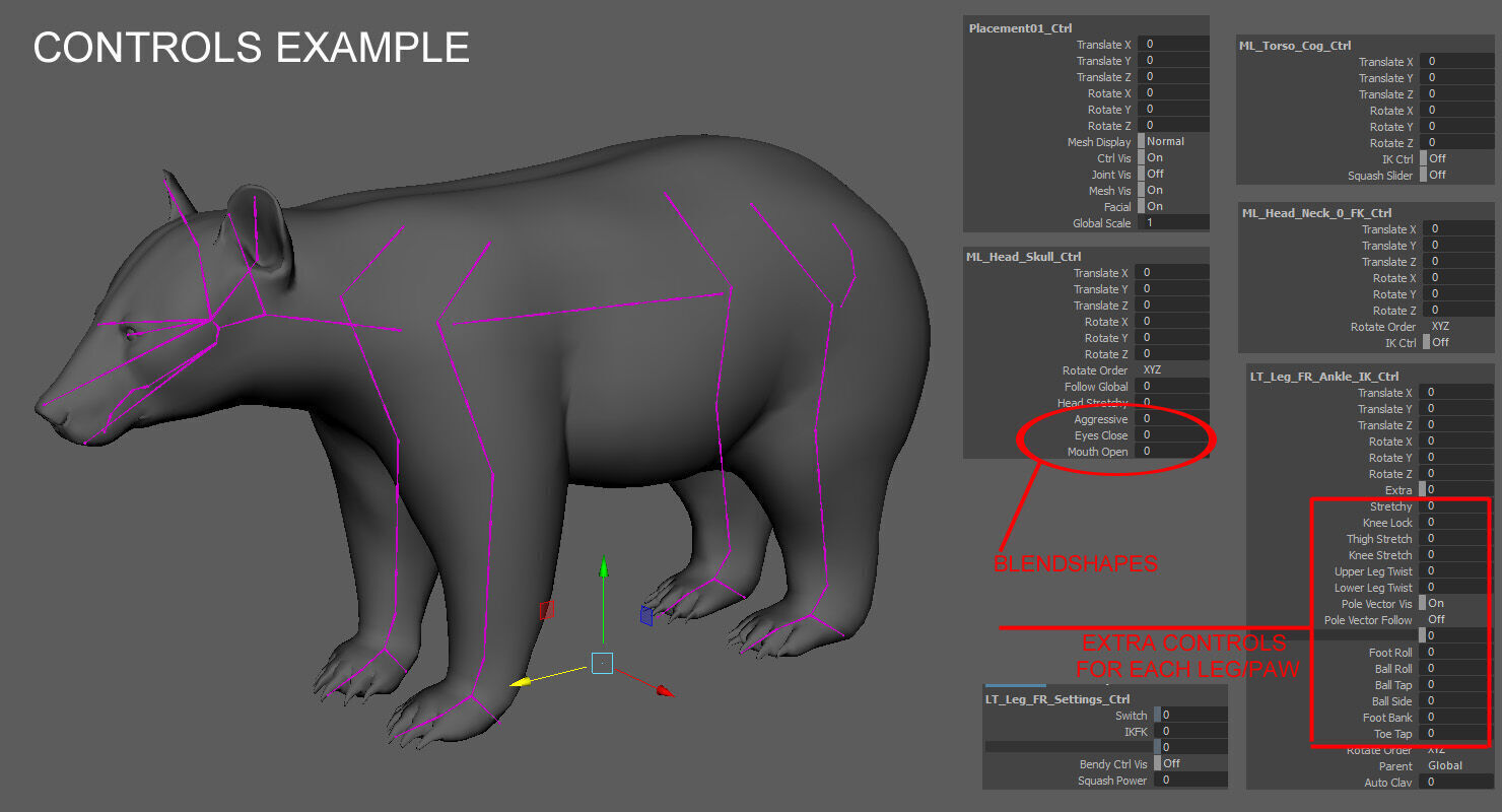 Black Bear ANIMATED Xgen core 3D model_17