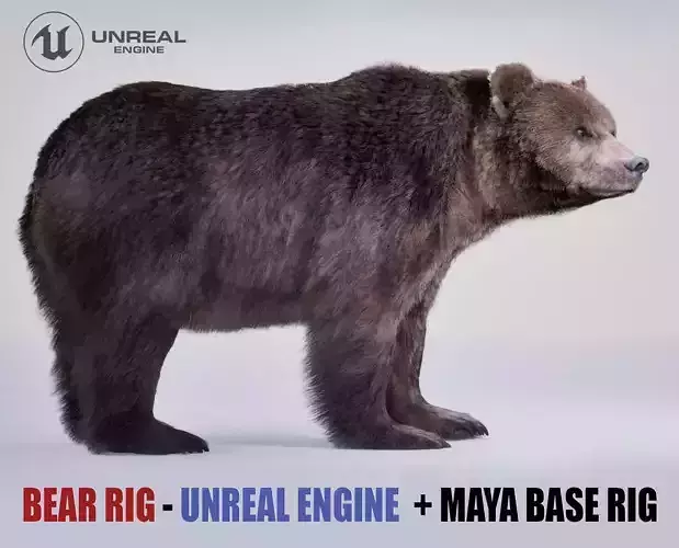 Bear Rig UNREAL project   Maya base rig