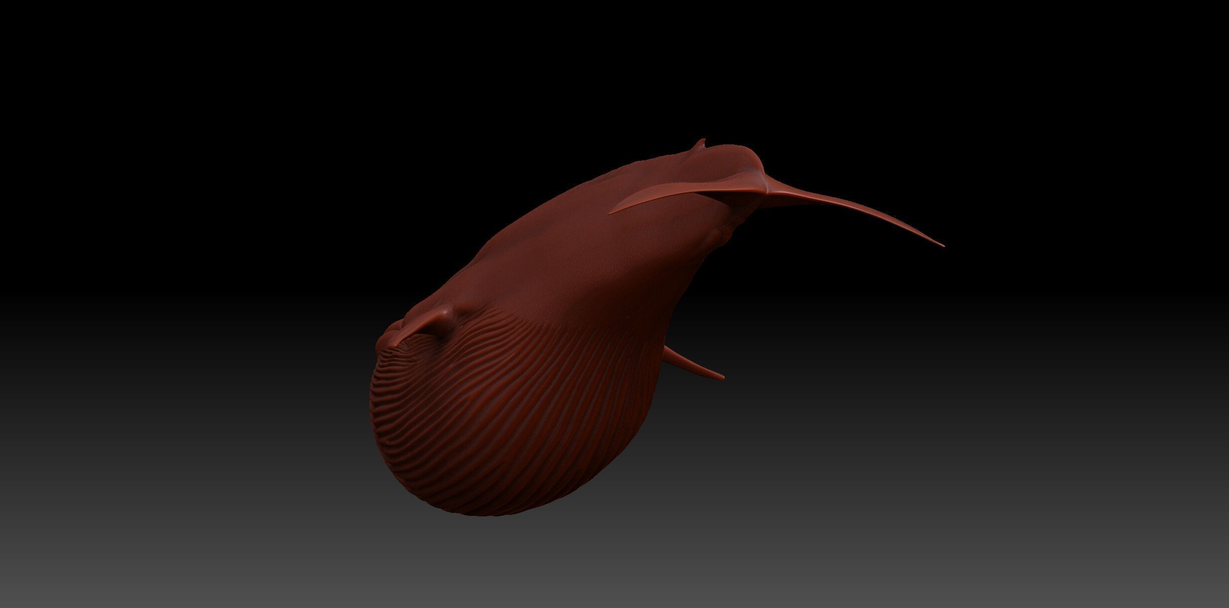 Blue whale Rig UNREAL project   Maya base rig 3D model_9