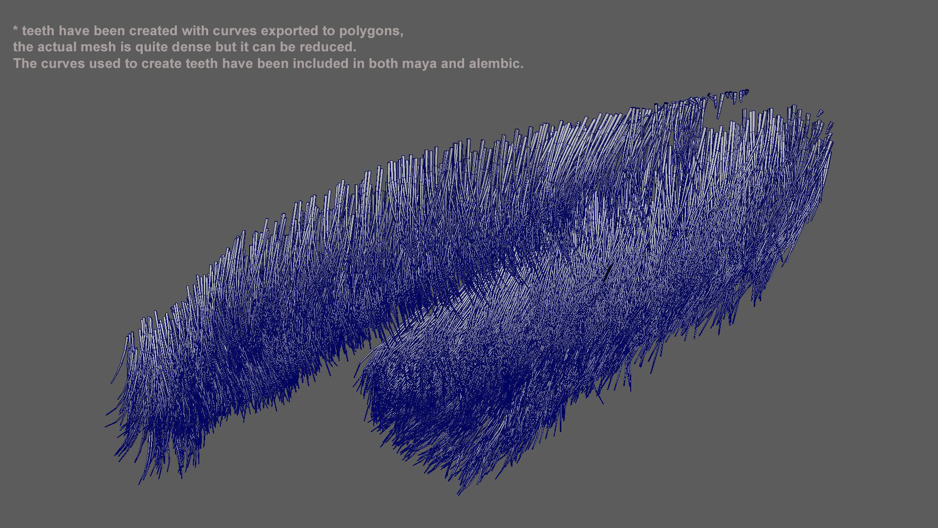 Blue whale Rig UNREAL project   Maya base rig 3D model_15