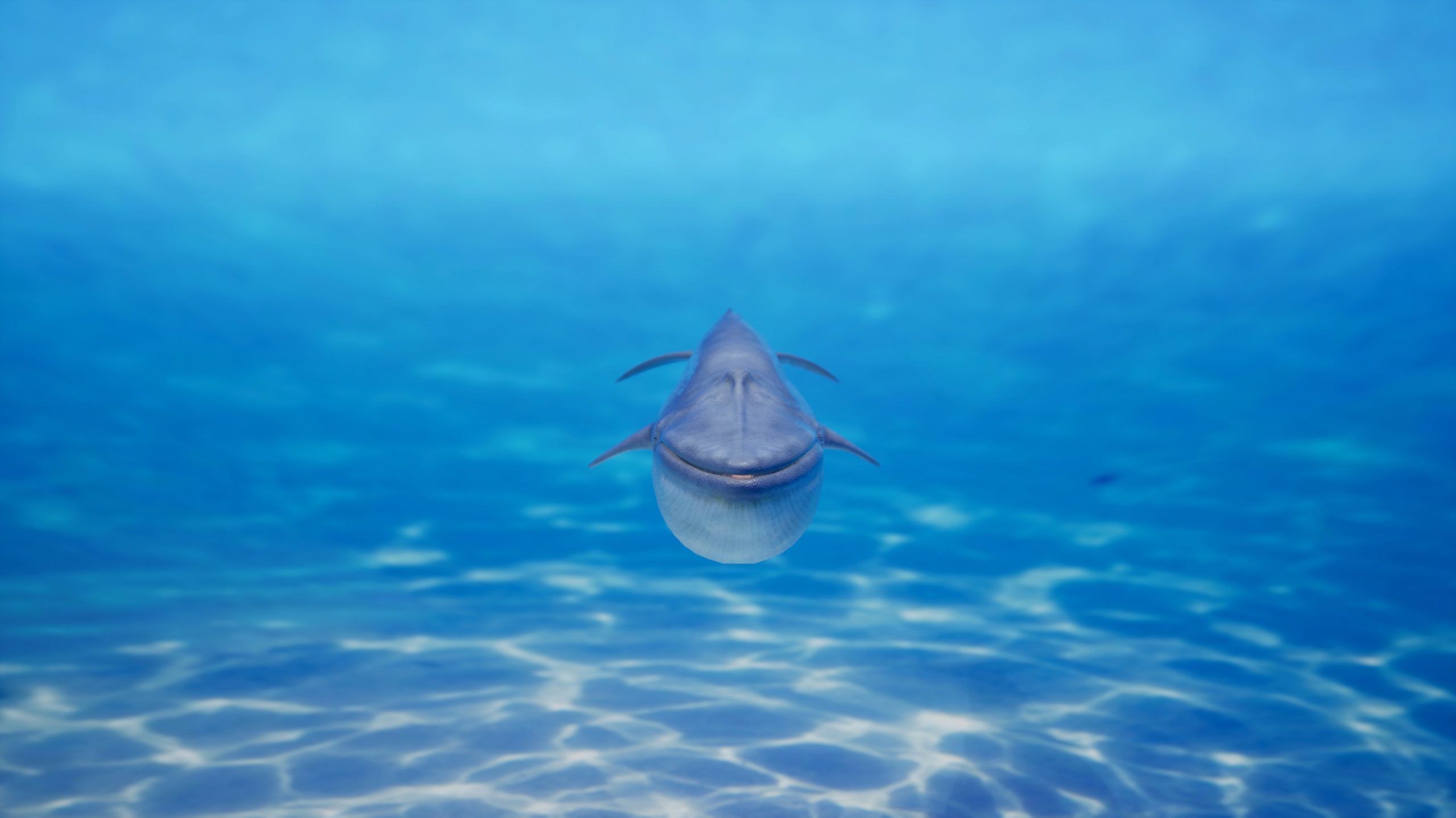 Blue whale Rig UNREAL project   Maya base rig 3D model_5