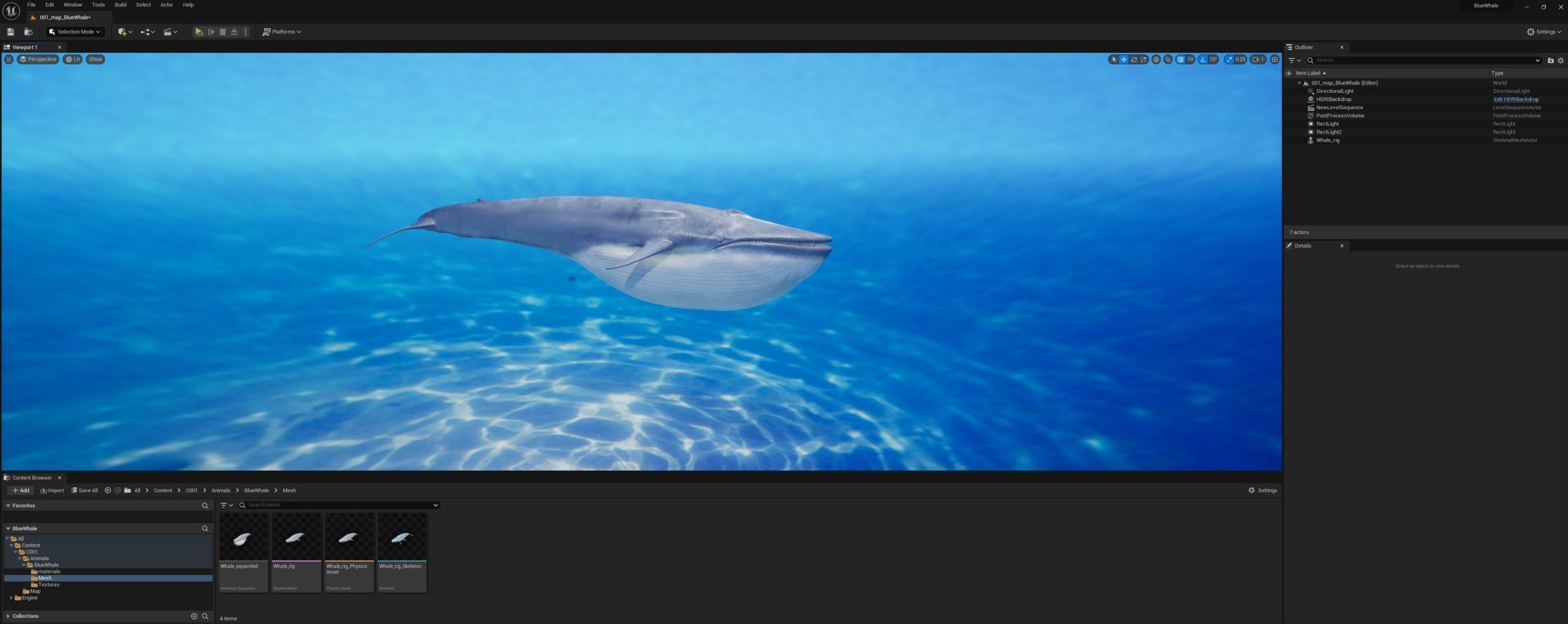 Blue whale Rig UNREAL project   Maya base rig 3D model_6