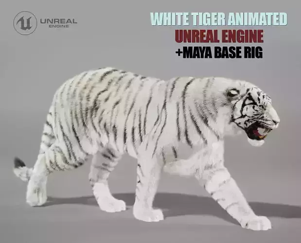 White Tiger Animated UNREAL project  Maya base rig