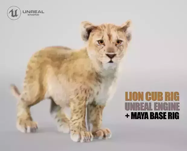 Lion Cub Rig UNREAL project  Maya base rig