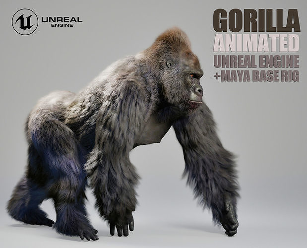 Gorilla Animated UNREAL project  Maya base rig 3D model