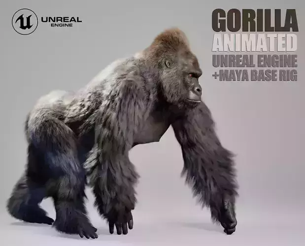Gorilla Animated UNREAL project  Maya base rig 3D model