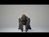 Gorilla Animated UNREAL project  Maya base rig 3D model_1