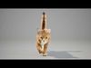 Cat Orange Tabby Animated UNREAL project  Maya base rig 3D model_2