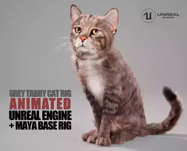 Cat Grey Tabby Animated UNREAL project  Maya base rig 3D model