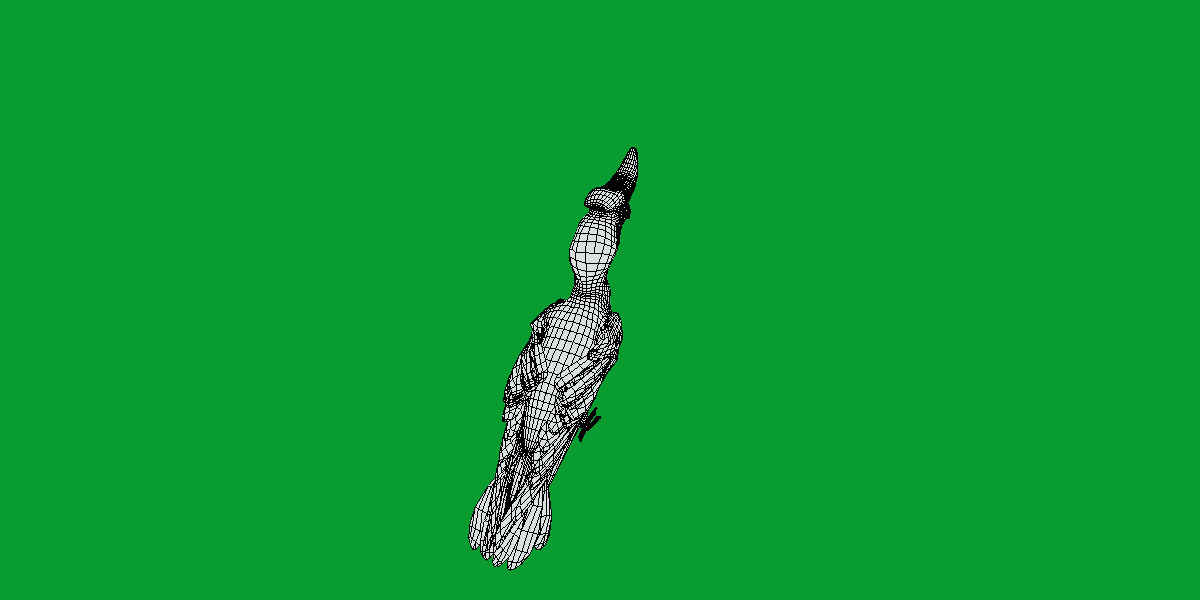 Rhinoceros Hornbill Bird Low-poly 3D model_13