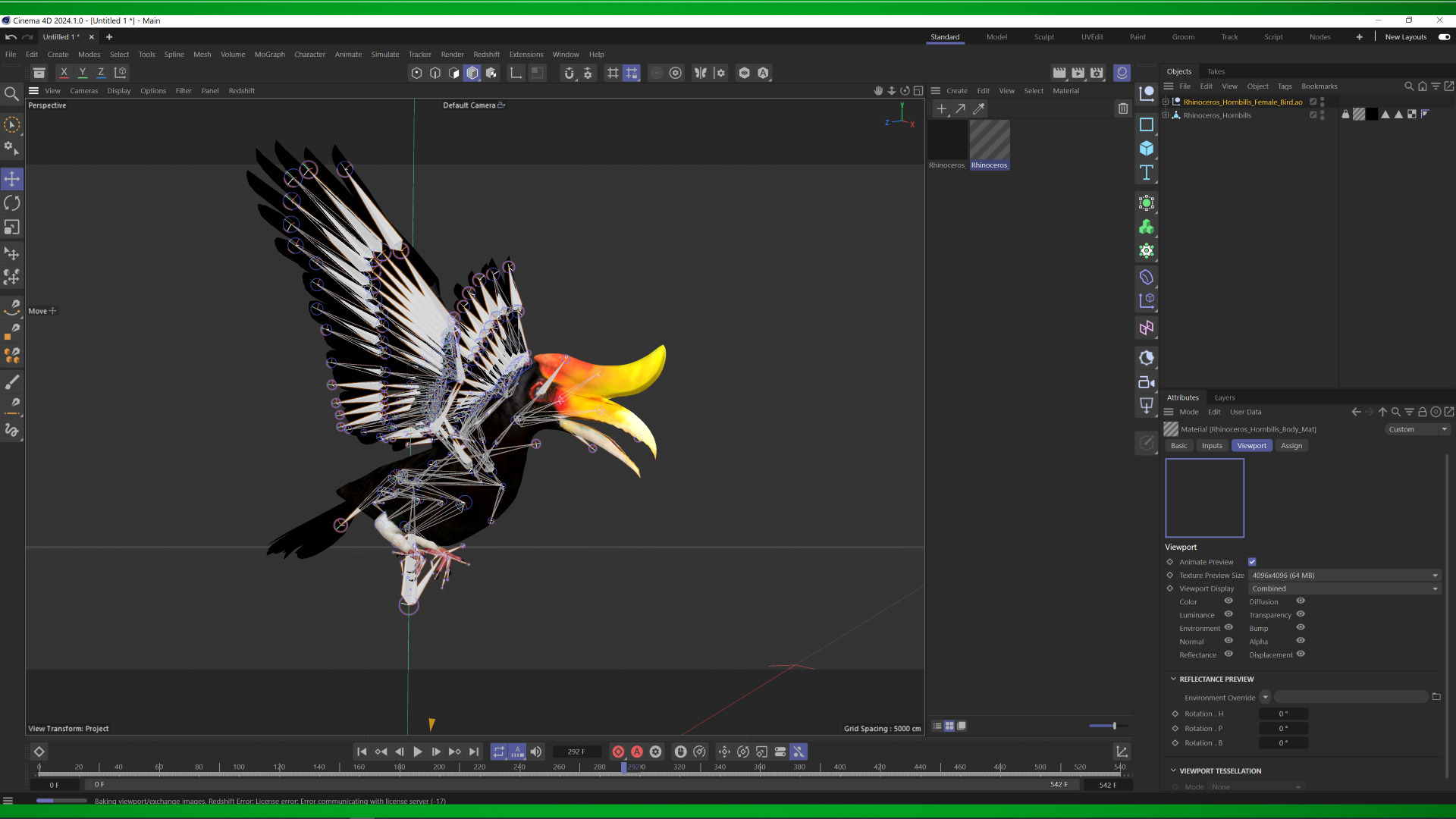 Rhinoceros Hornbill Bird Low-poly 3D model_6