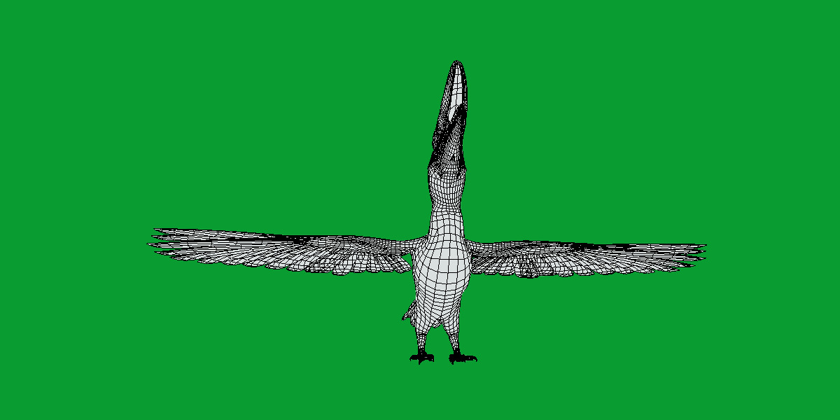 Rhinoceros Hornbill Bird Low-poly 3D model_11