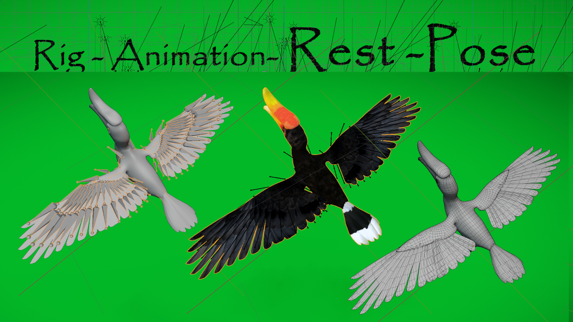 Rhinoceros Hornbill Bird Low-poly 3D model_7