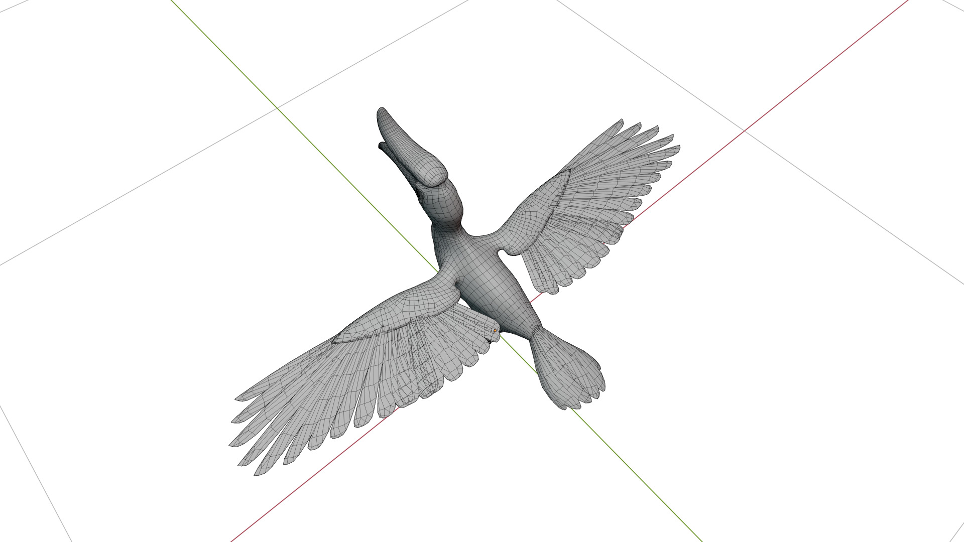 Rhinoceros Hornbill Bird Low-poly 3D model_49