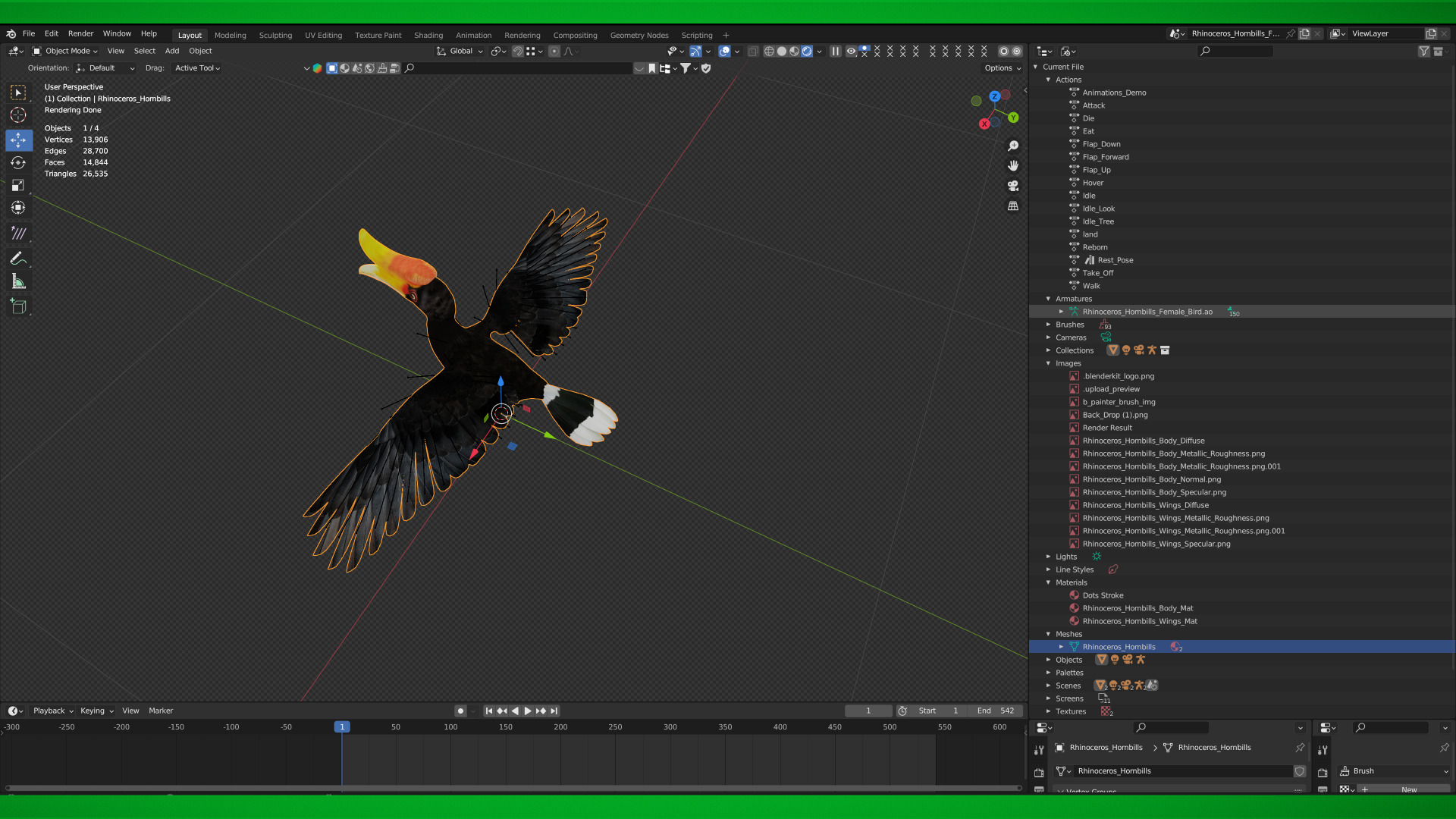 Rhinoceros Hornbill Bird Low-poly 3D model_5