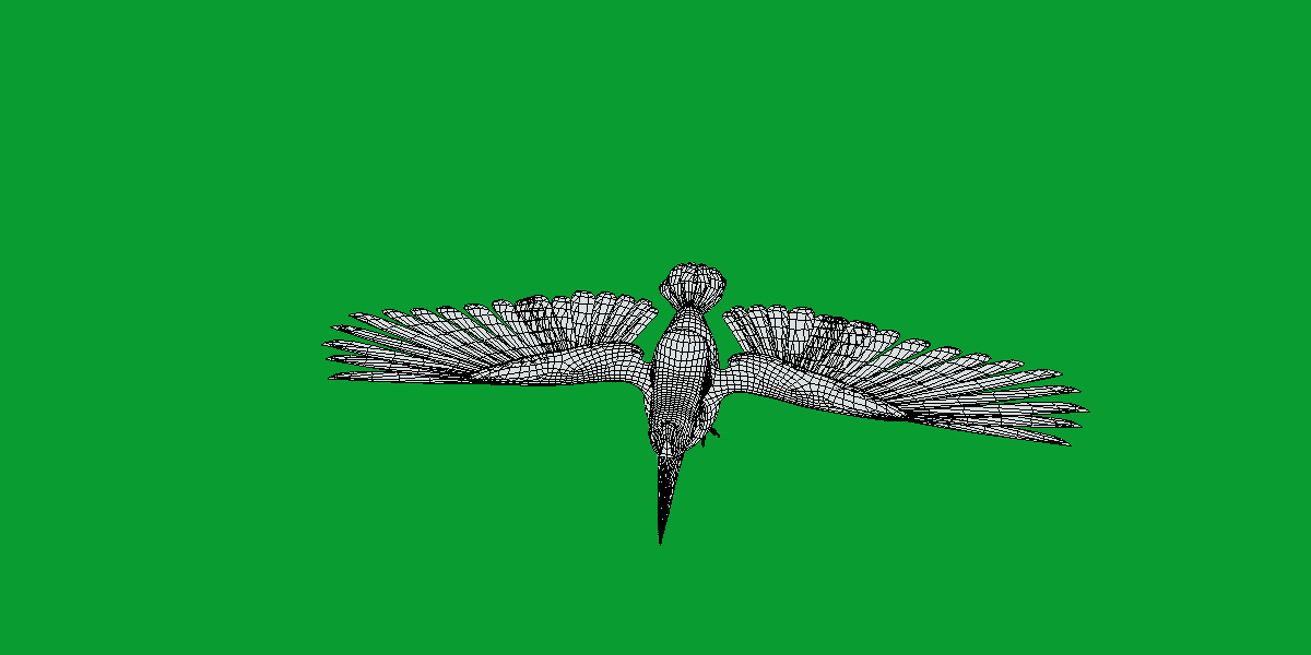 Rhinoceros Hornbill Bird Low-poly 3D model_15