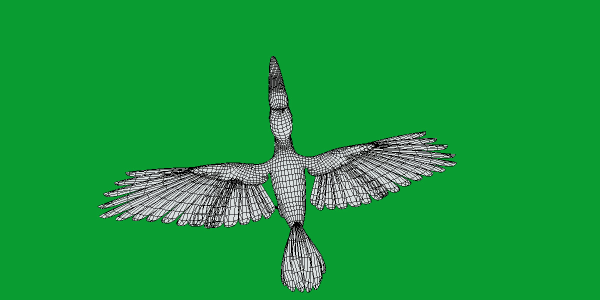 Rhinoceros Hornbill Bird Low-poly 3D model_17