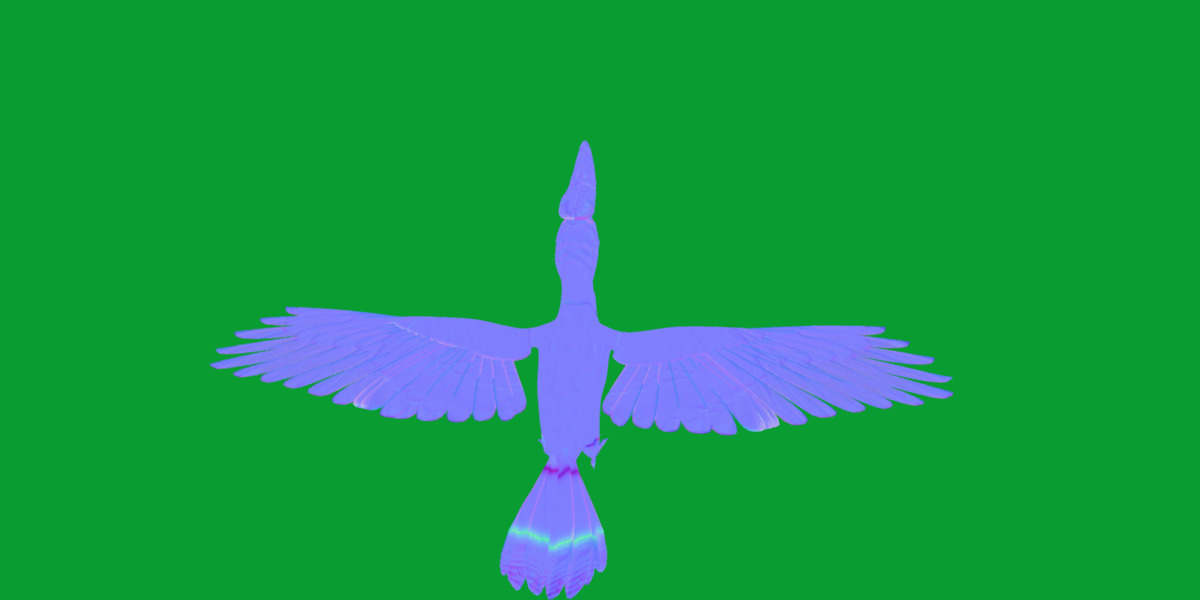 Rhinoceros Hornbill Bird Low-poly 3D model_29