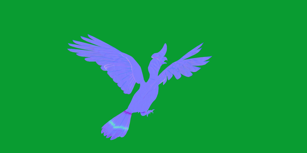 Rhinoceros Hornbill Bird Low-poly 3D model_34