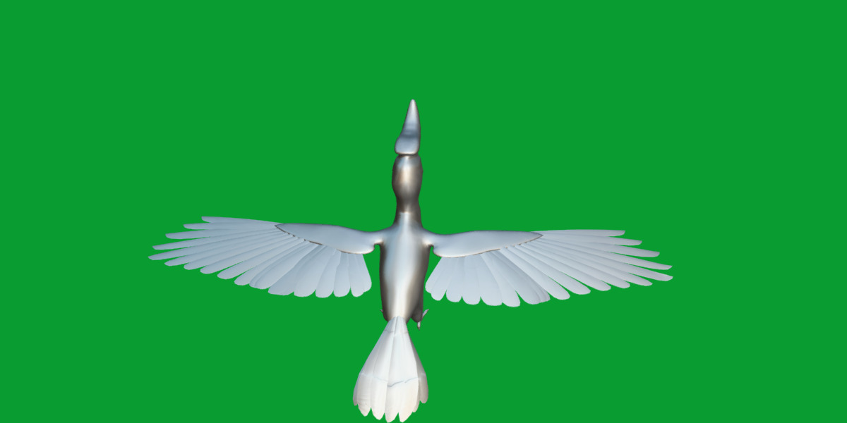 Rhinoceros Hornbill Bird Low-poly 3D model_33