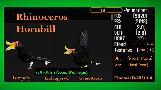 Rhinoceros Hornbill Bird Low-poly 3D model