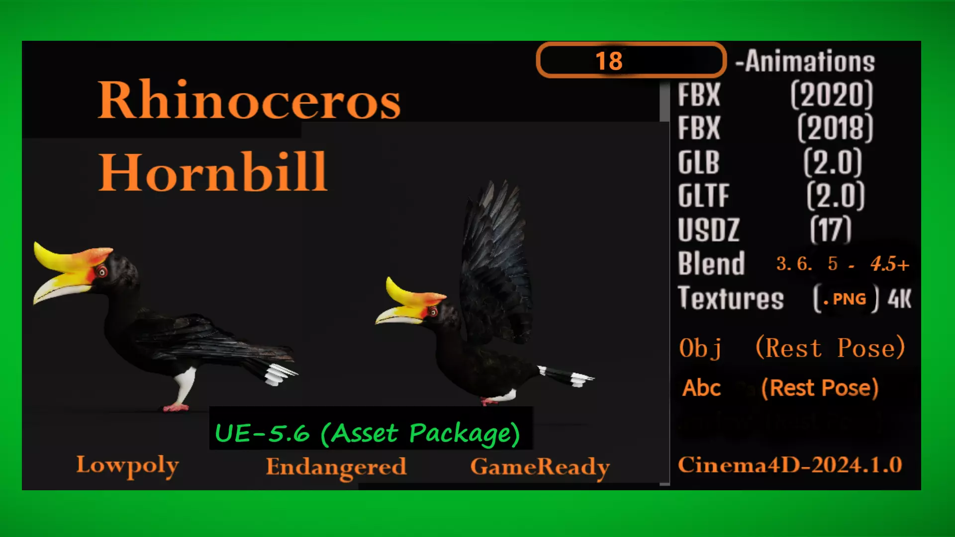 Rhinoceros Hornbill Bird Low-poly 3D model_0