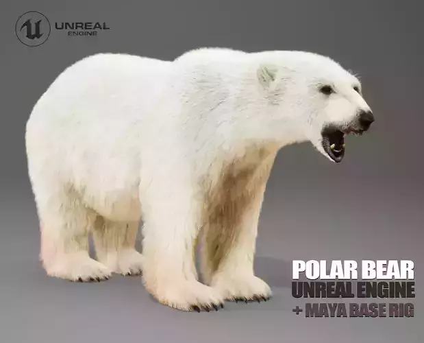 Polar Bear Rig UNREAL project  Maya base rig