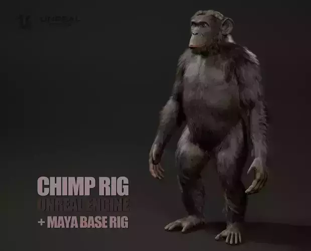 Chimp Rig UNREAL project  Maya base rig