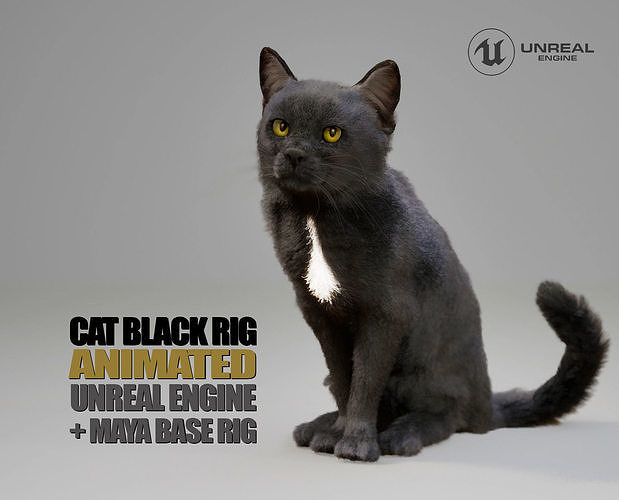 Cat Black Animated UNREAL project  Maya base rig 3D model