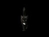 Cat Black Animated UNREAL project  Maya base rig 3D model_1