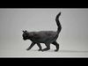 Cat Black Animated UNREAL project  Maya base rig 3D model_2