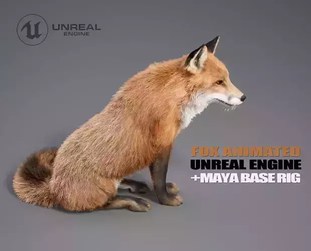Fox Animated  - UNREAL project  and Maya base rig