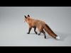 Fox Animated  - UNREAL project  and Maya base rig 3D model_1