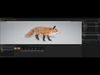 Fox Animated  - UNREAL project  and Maya base rig 3D model_2