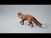 Fox Animated  - UNREAL project  and Maya base rig 3D model_3