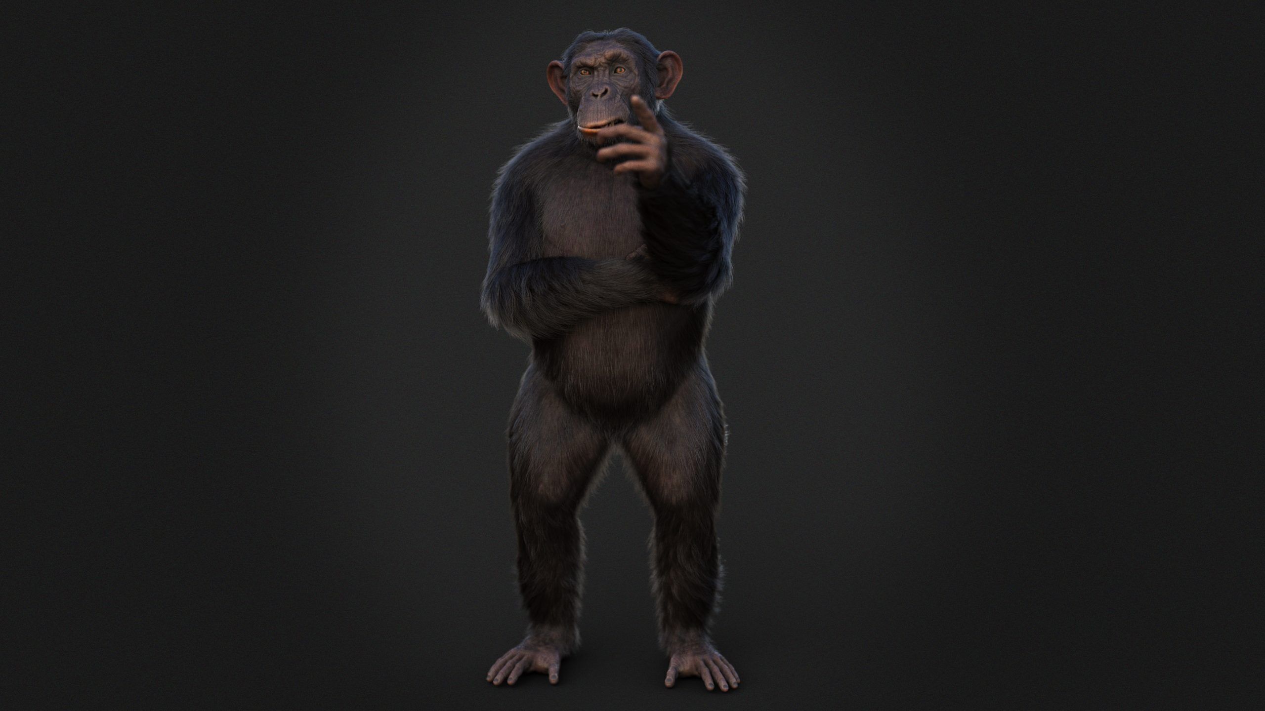 Chimpanzee RIG Xgen Core 3D model_9