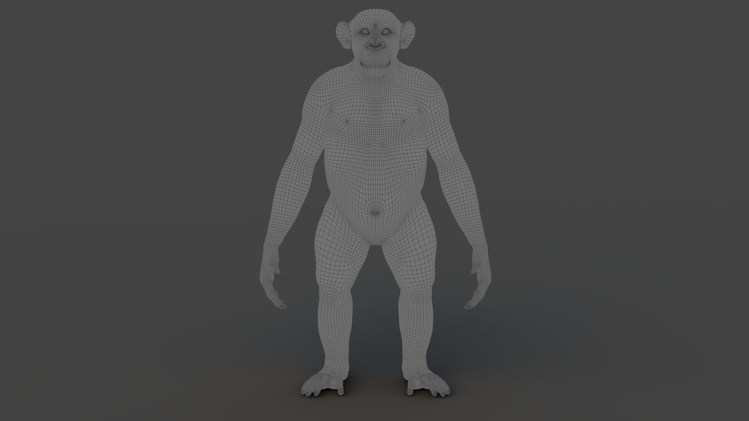 Chimpanzee RIG Xgen Core 3D model_11