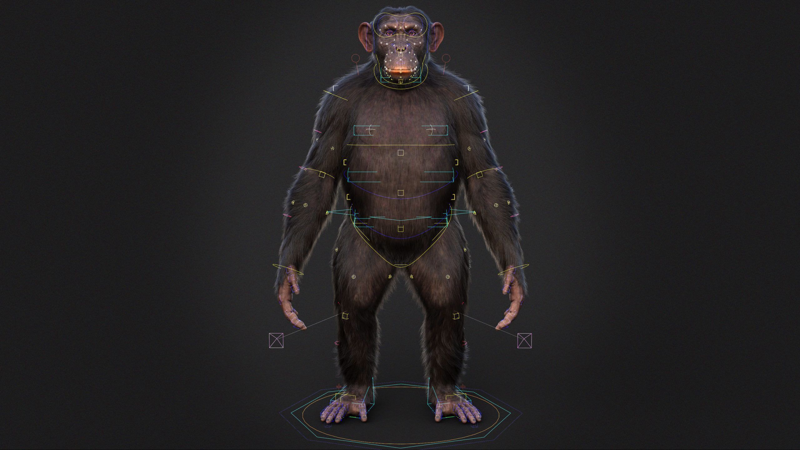 Chimpanzee RIG Xgen Core 3D model_15