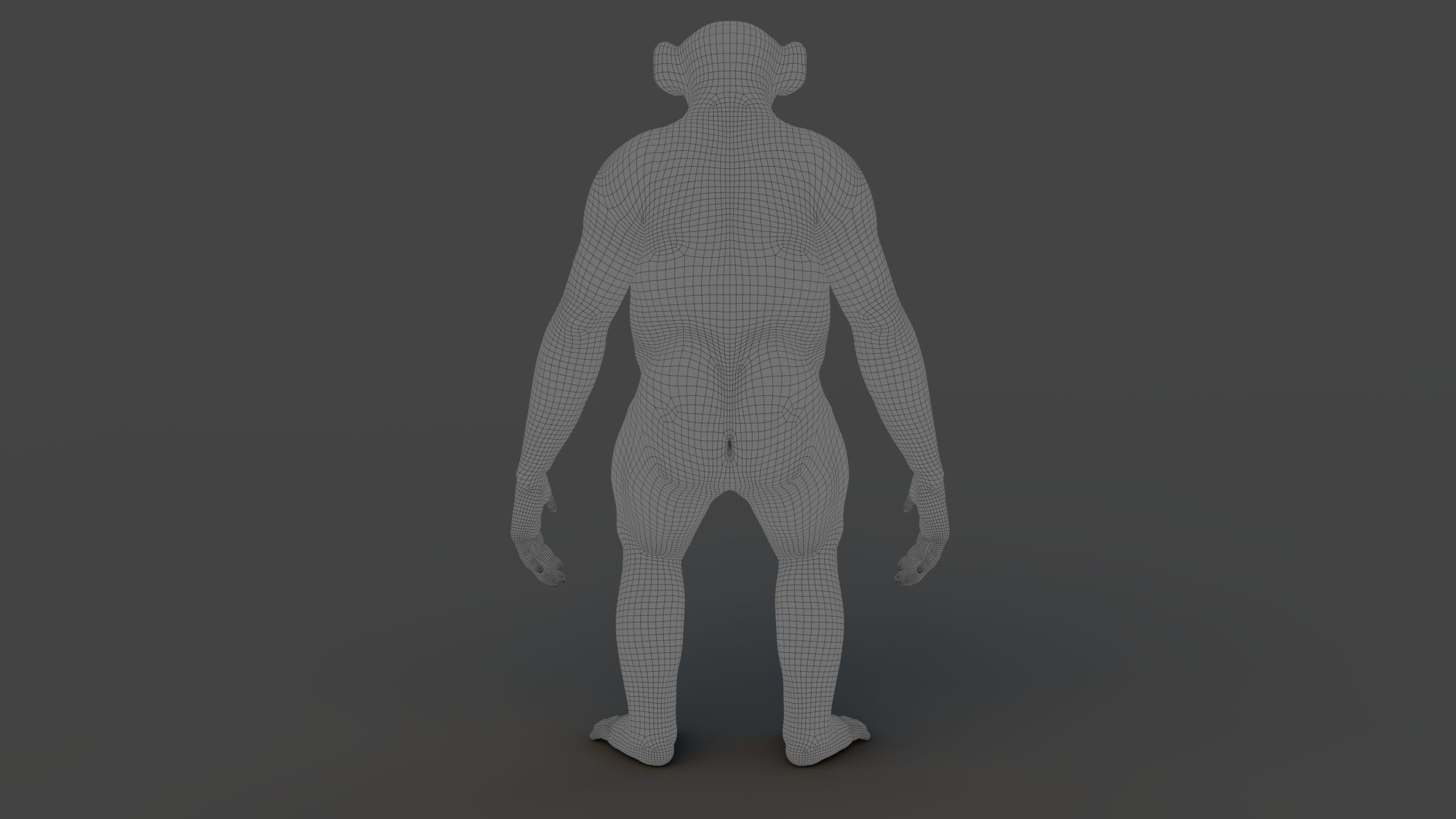 Chimpanzee RIG Xgen Core 3D model_12