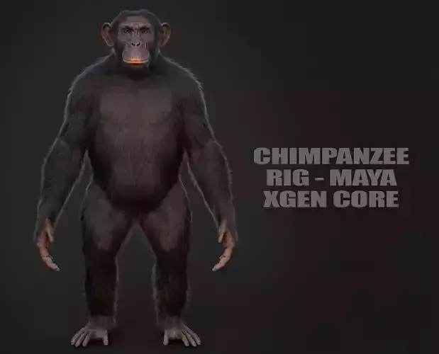 Chimpanzee RIG Xgen Core