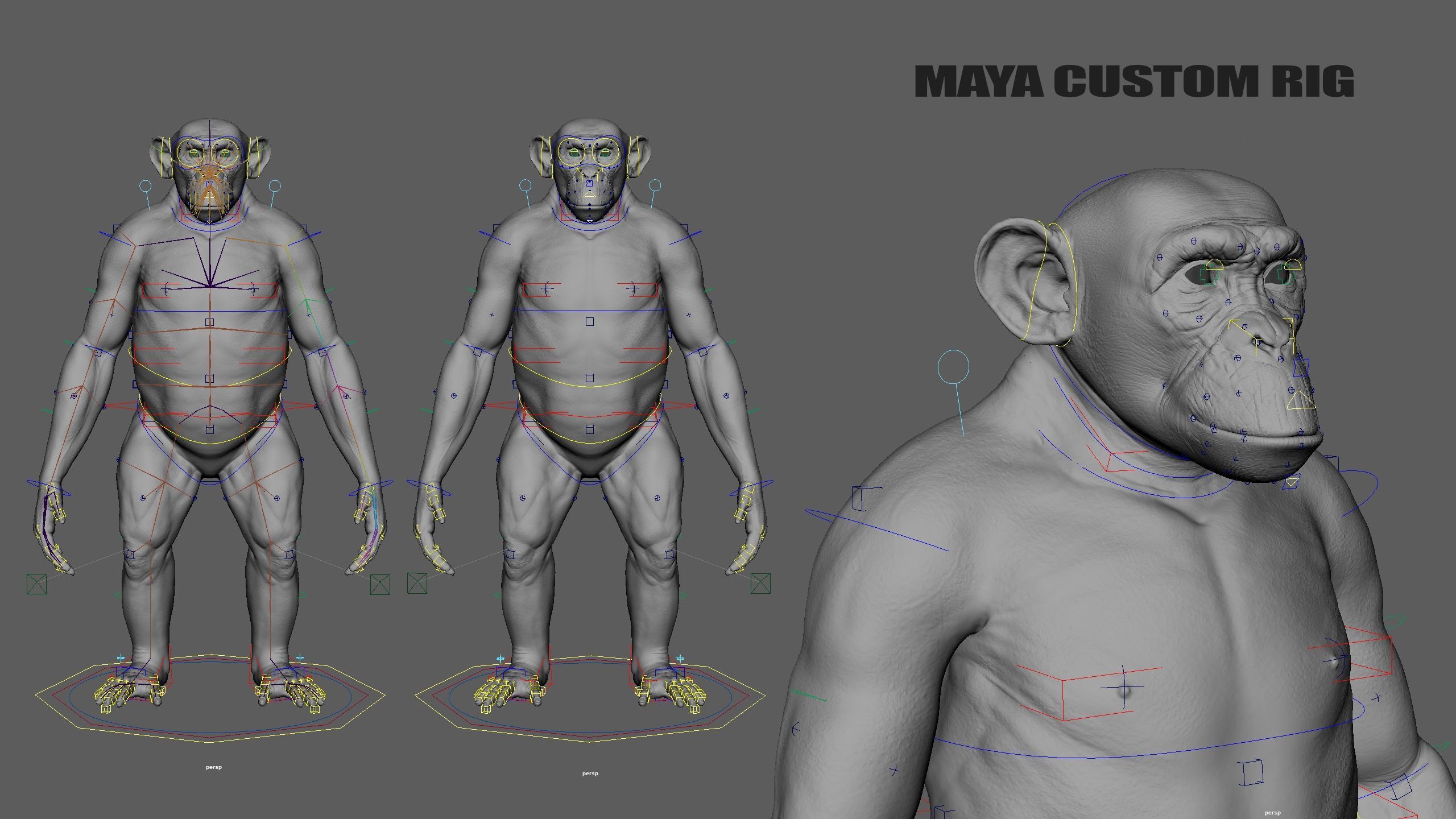 Chimpanzee RIG Xgen Core 3D model_16