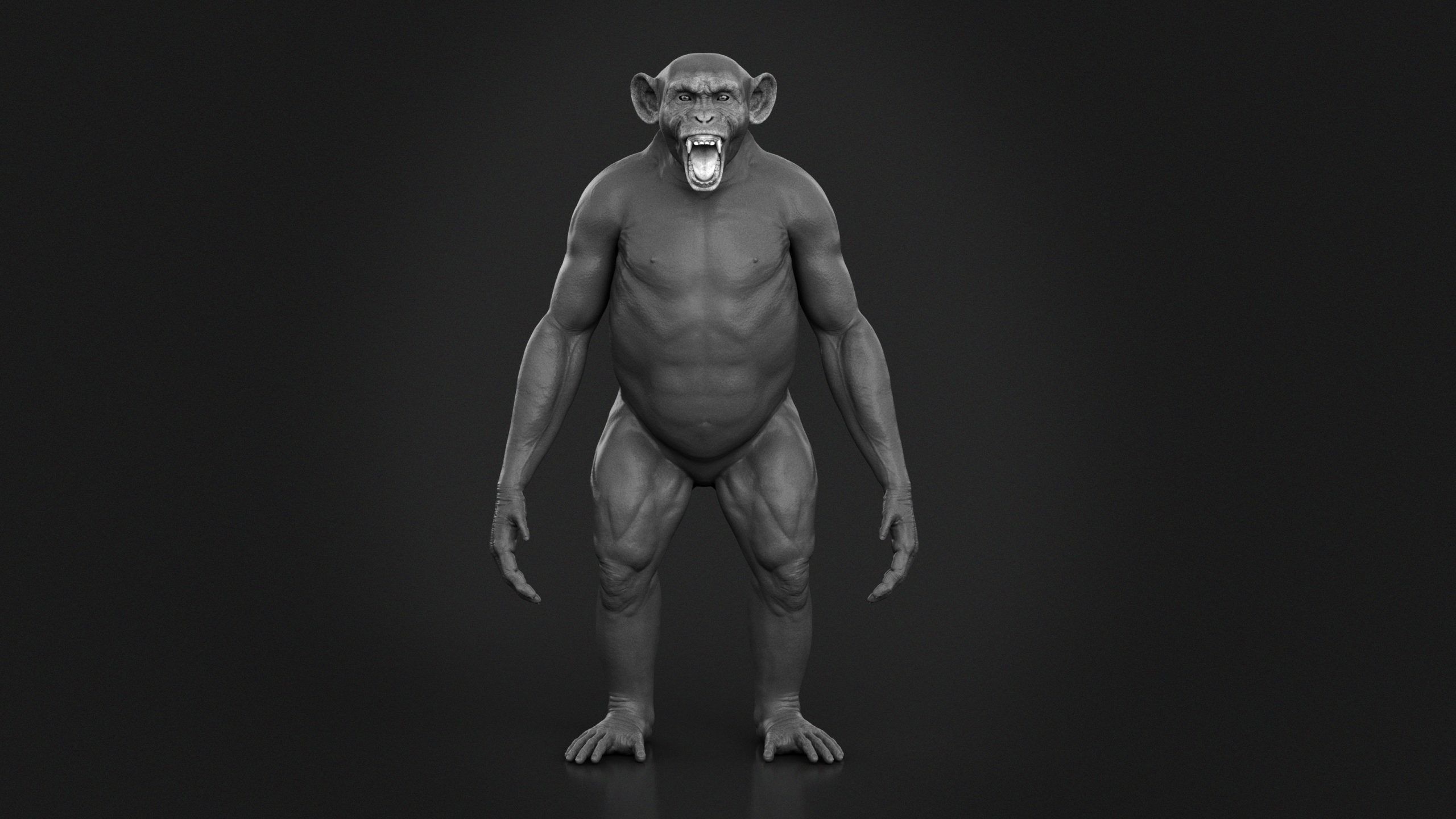 Chimpanzee RIG Xgen Core 3D model_10