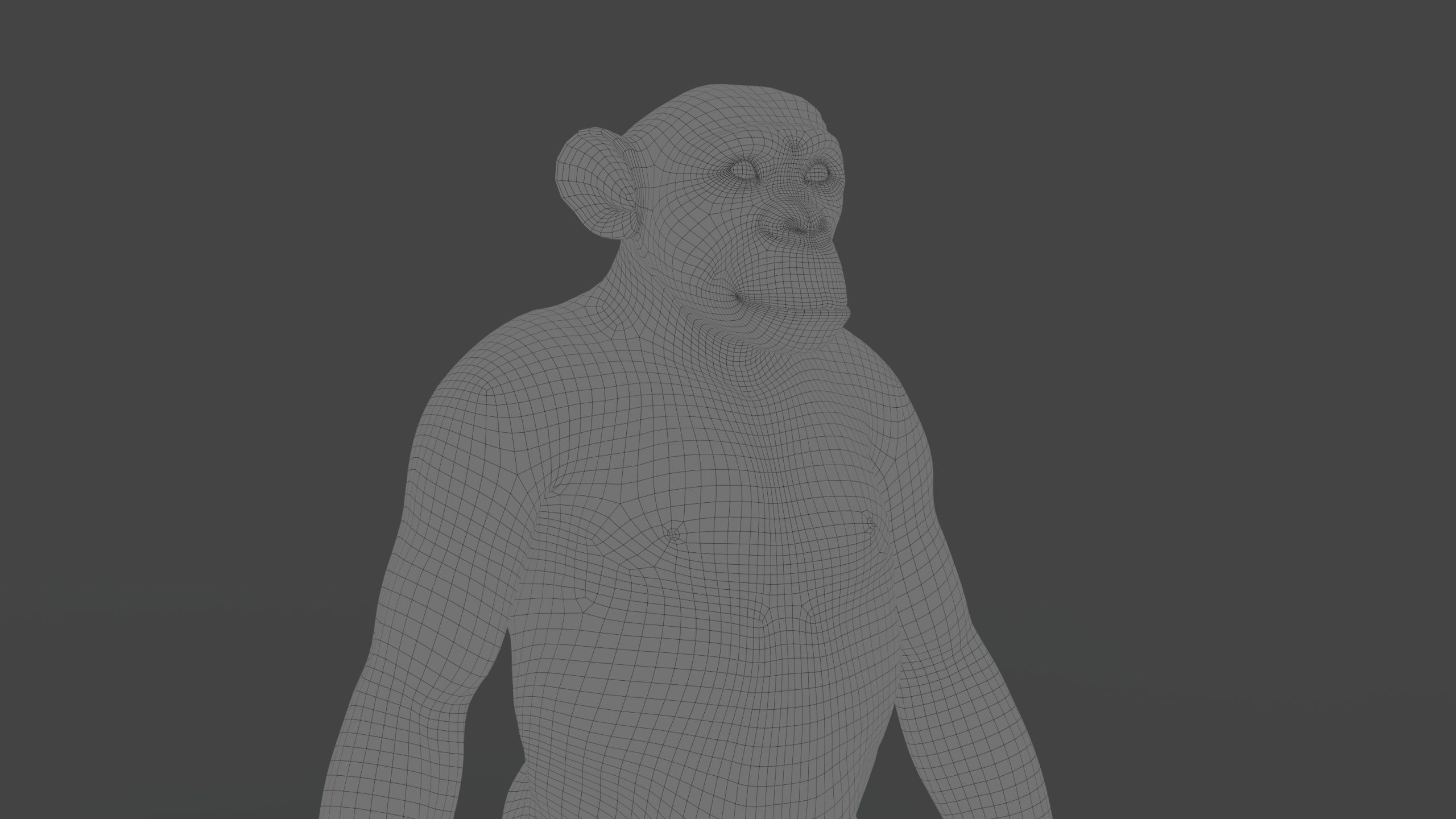 Chimpanzee RIG Xgen Core 3D model_14