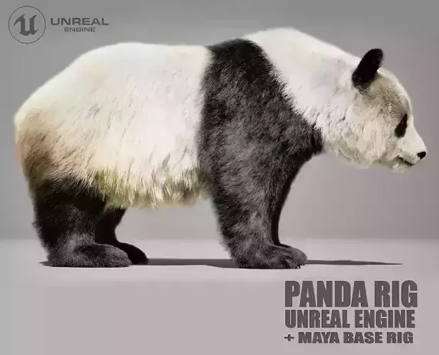 Panda Rig UNREAL project  Maya base rig