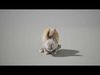 Rabbits Animated UNREAL project  Maya base rig 3D model_1